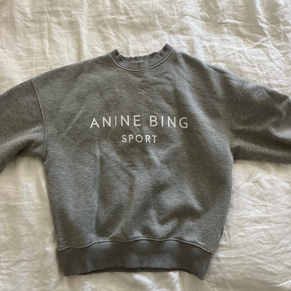 Anine Bing Crewneck Hoodie